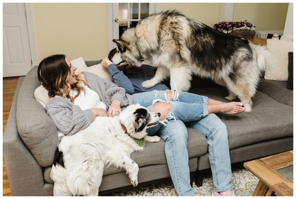 engaged couple and their dogs snuggling on couch