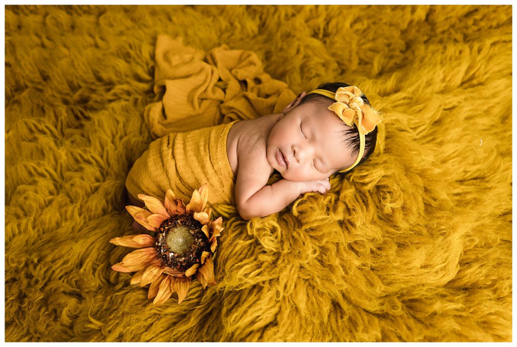 Newborn baby sleeping wrapped in mustard on faux flokati with sunflower during Pittsburgh studio newborn session.