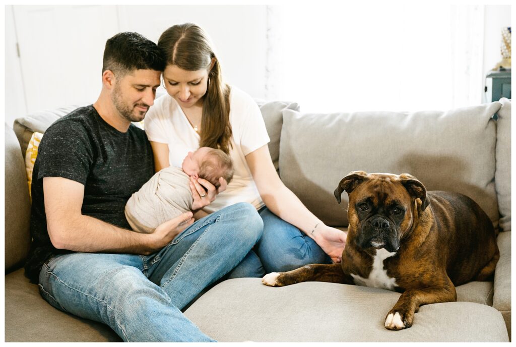 mom and dad gaze at newborn in their arms while their boxer dog looks at the camera